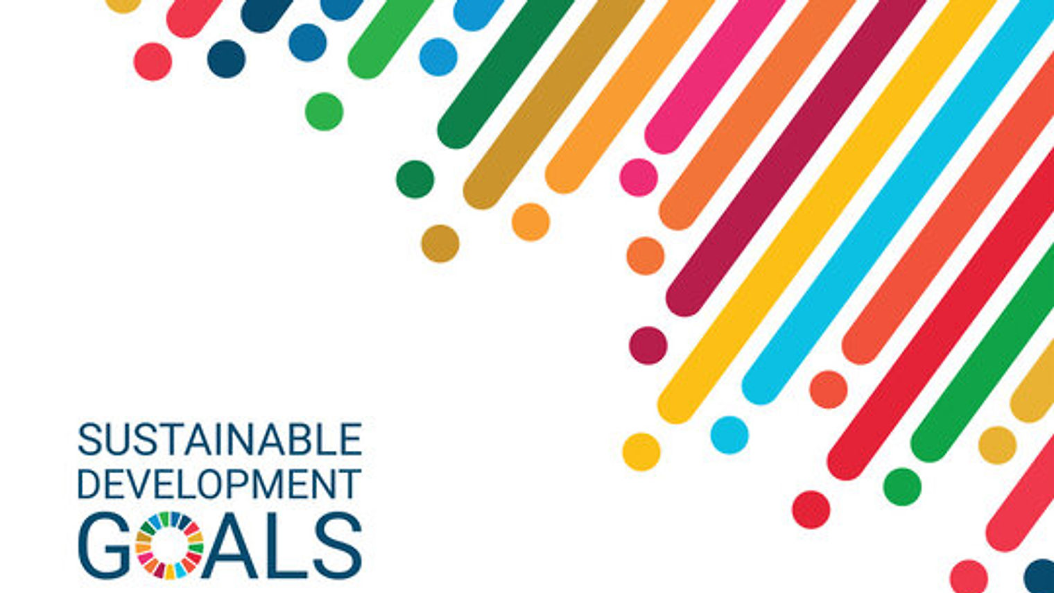 Harnessing the power of space for the UN SDGs